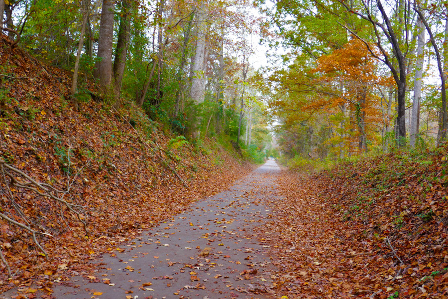 Swamp Rabbit Trail Greenville Daily Photo