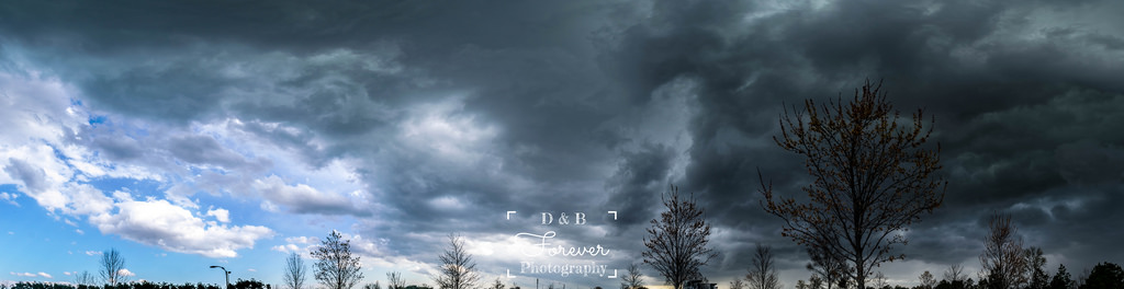 Photo by everydaynerd