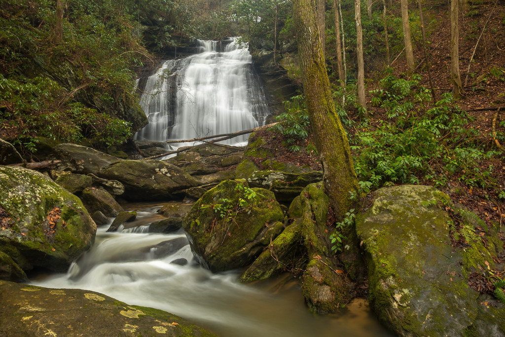 Photo by www.HDCarolina.com