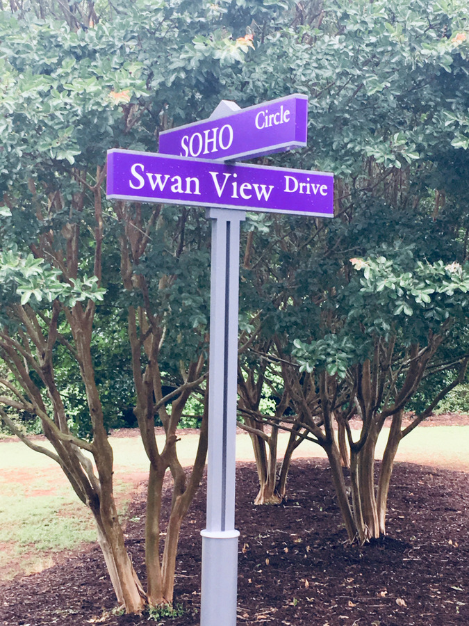 signs Greenville Daily Photo